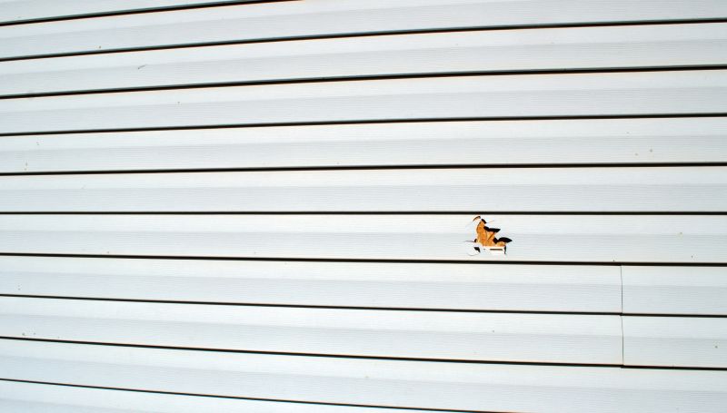 Assessment and Preparation